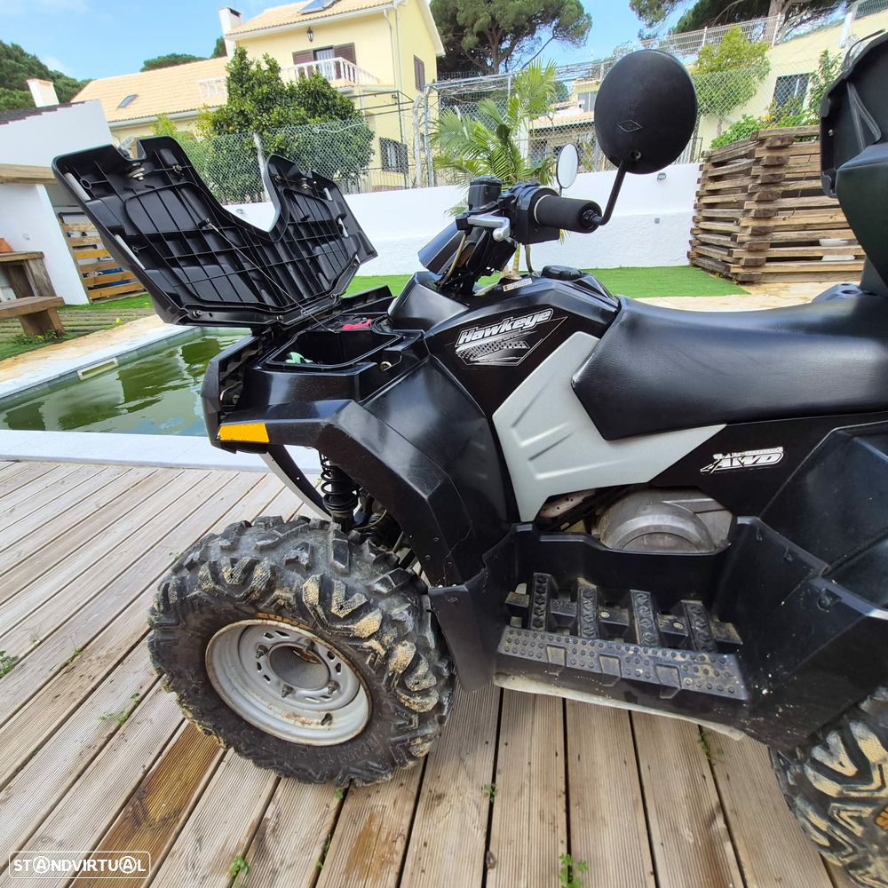 Polaris Hawkeye 300 - 13