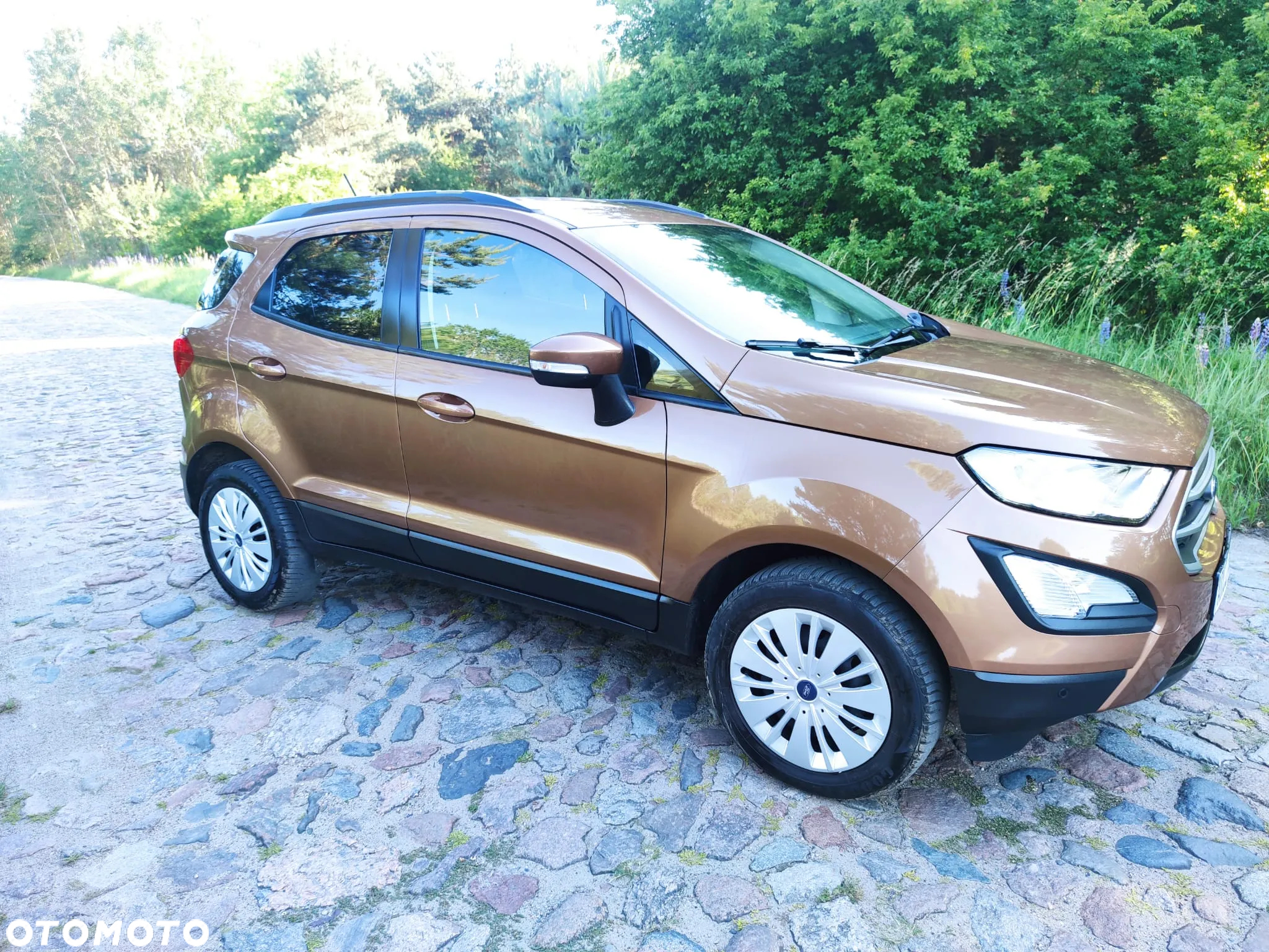 Ford EcoSport 1.0 EcoBoost - 14