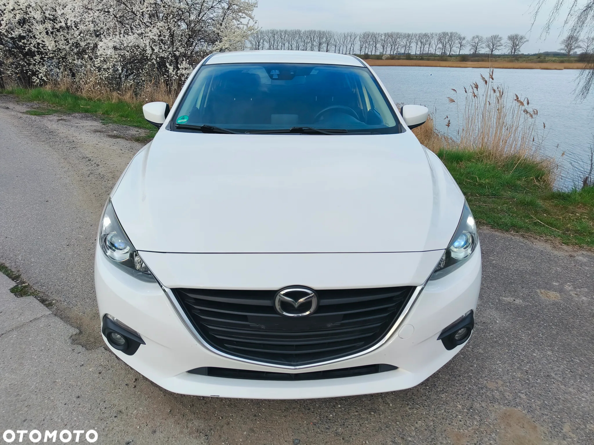 Mazda 3 1.5 D Skyenergy - 5