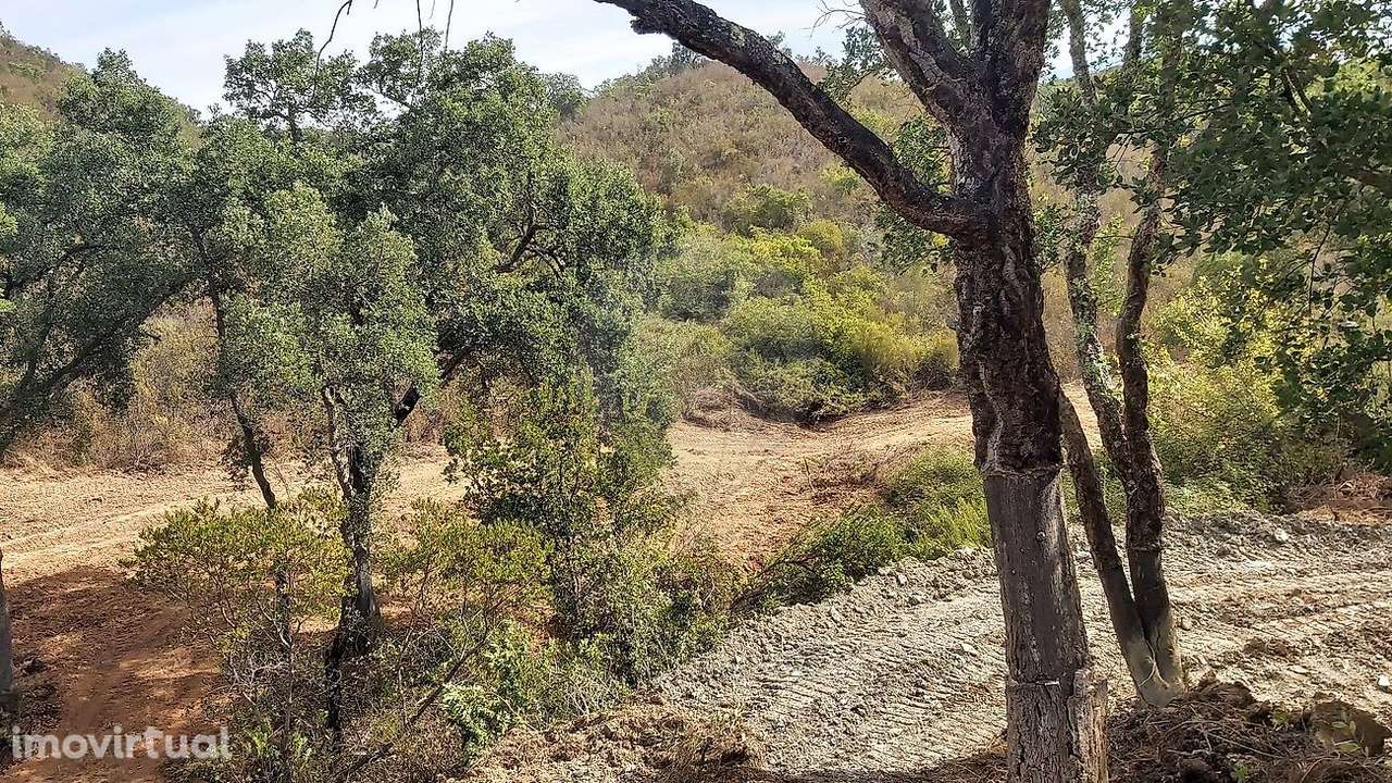 Terreno  para venda - Grande imagem: 4/8