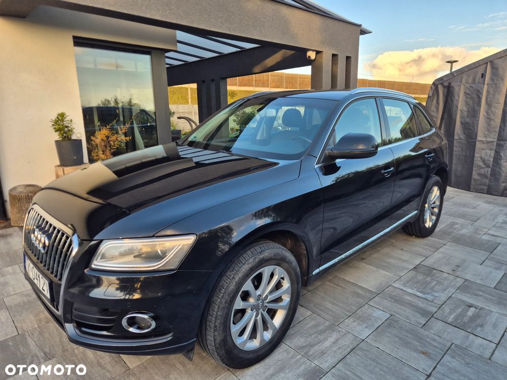 Audi Q5 2013 photo 2