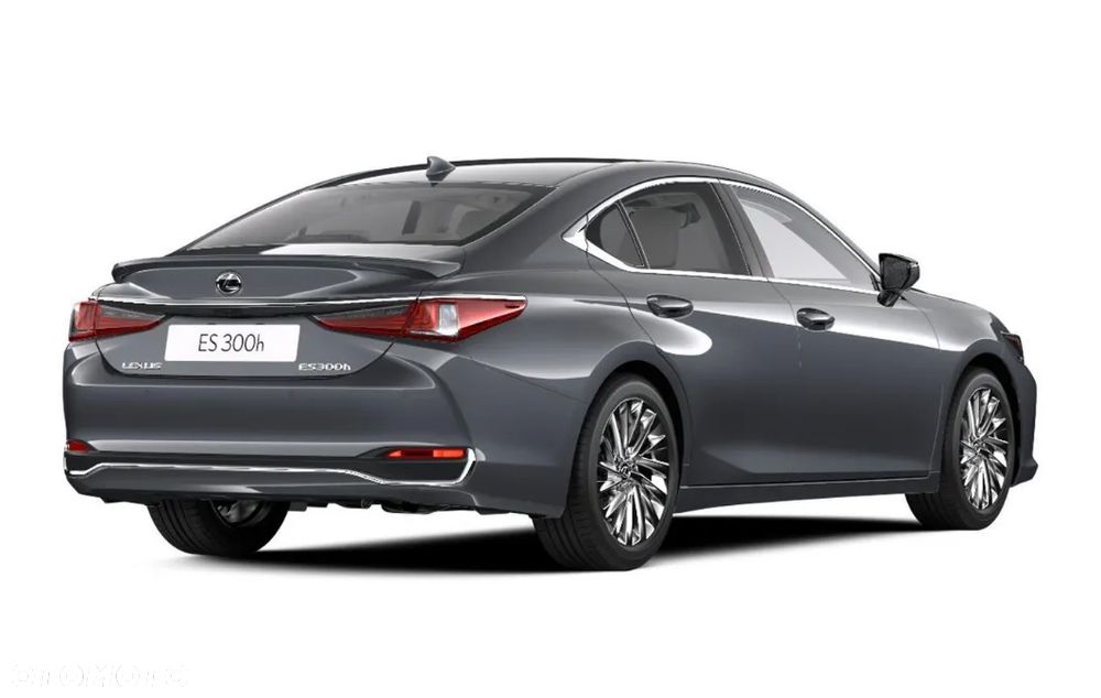 Lexus ES 300h Omotenashi - 6