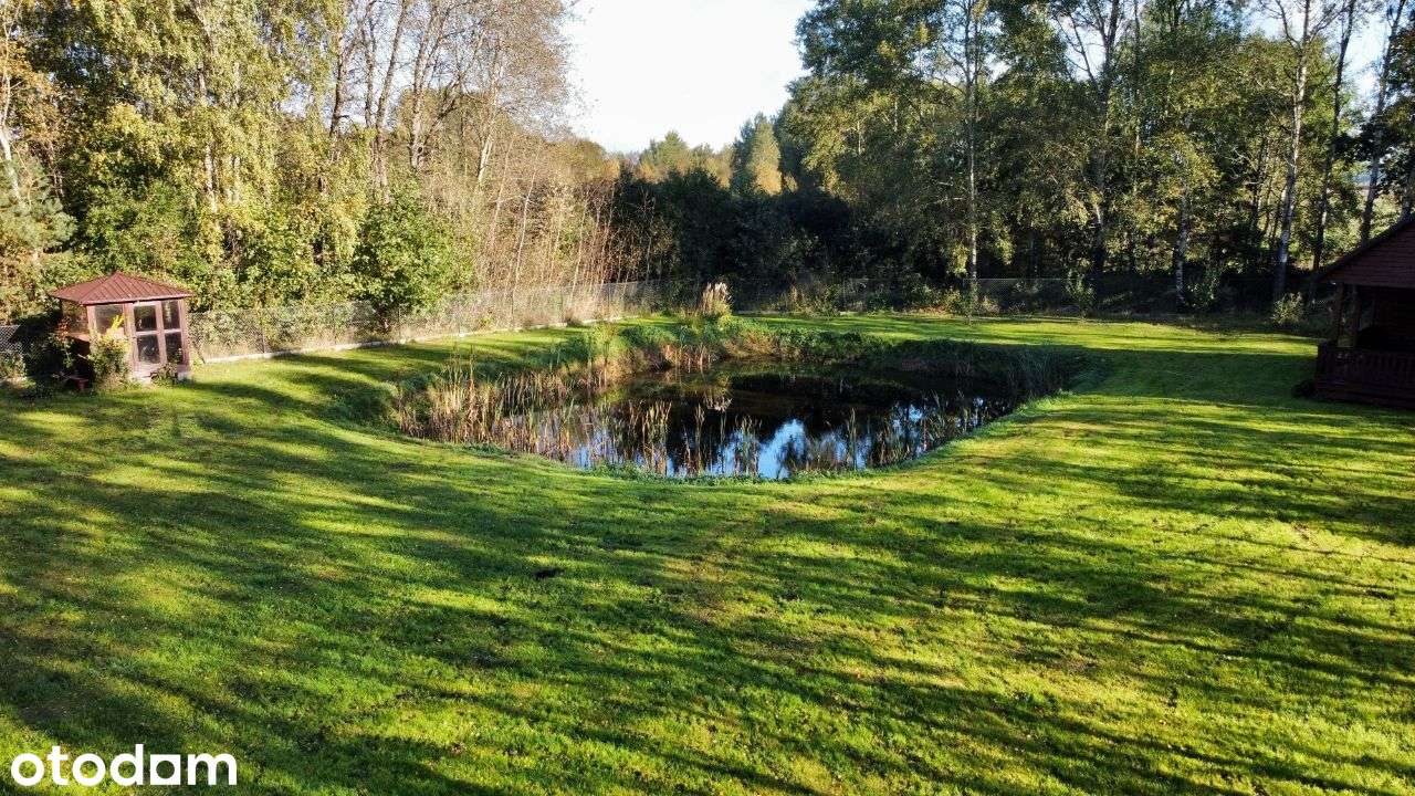 Dom z działką 2500m2, własny staw, garaż - Pełny obrazek: 4/17