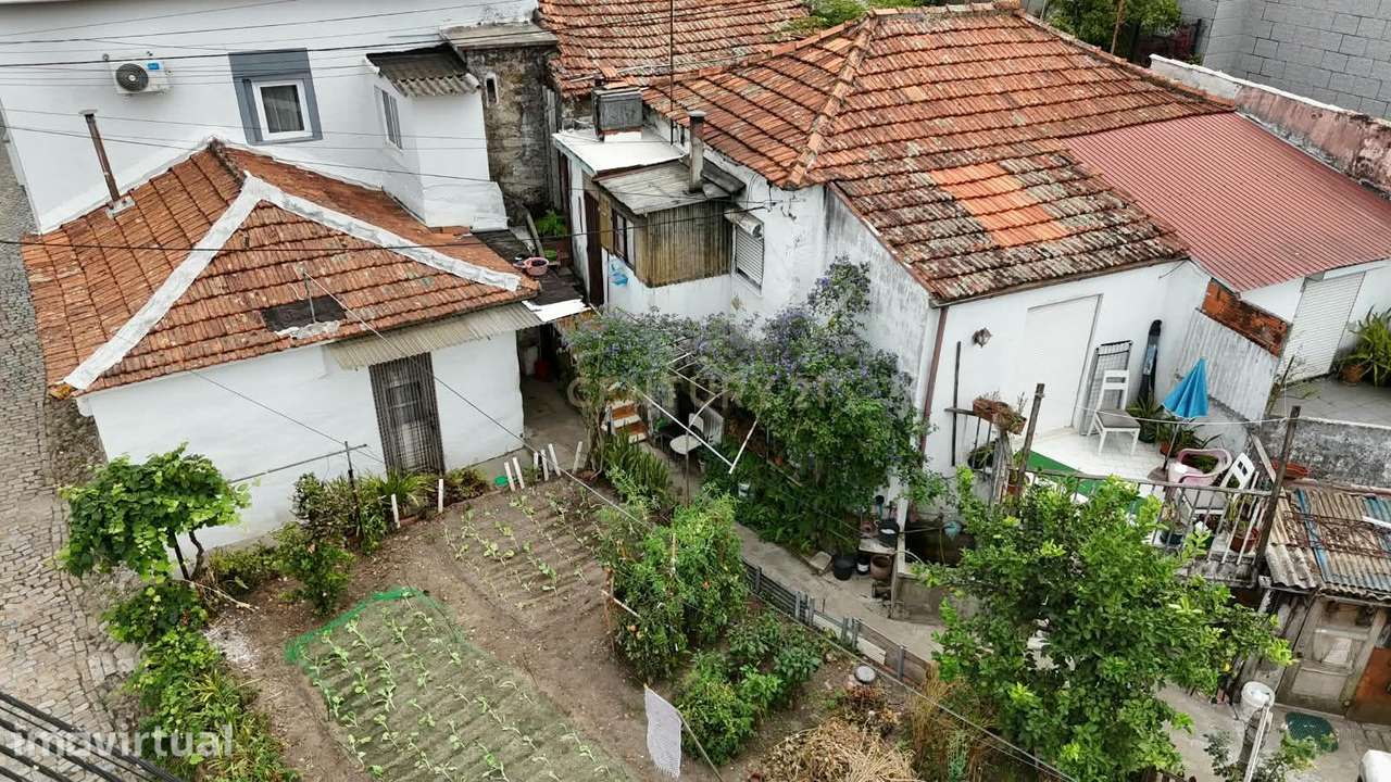 CONJUNTO DE 3 CASAS | ARRENDADAS | CONTRATOS VITALICIOS| BAGUIM DO MON - Grande imagem: 4/22