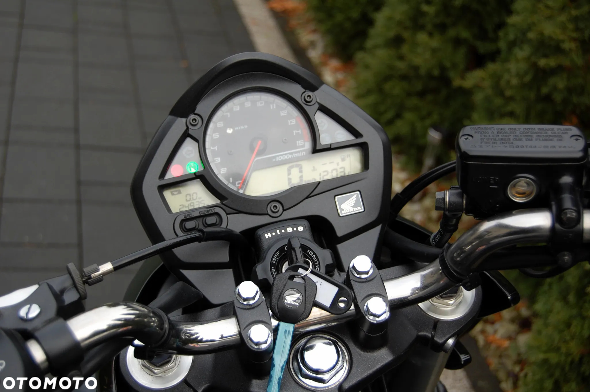 Honda Hornet - 10