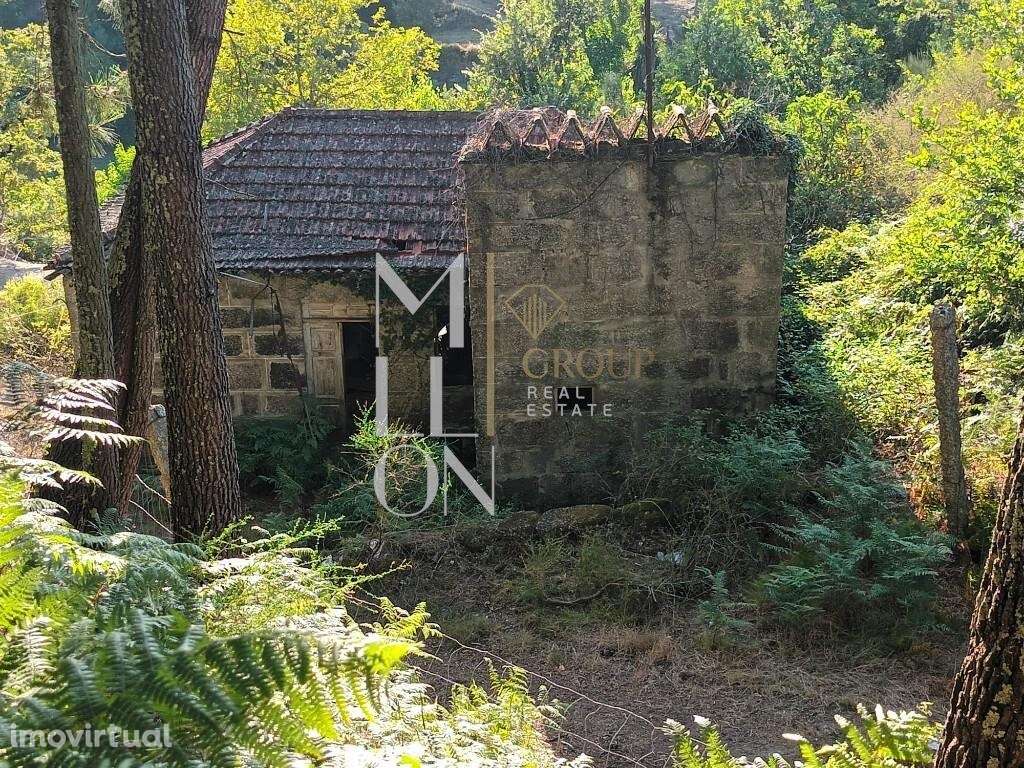 Quinta de Alvim com 27000m2 a 7 km do Marco de Canaveses - Grande imagem: 2/7