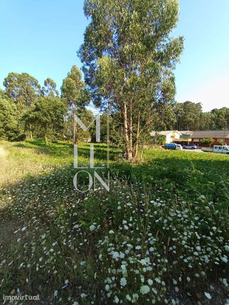 Venda Terreno - Grande imagem: 4/9