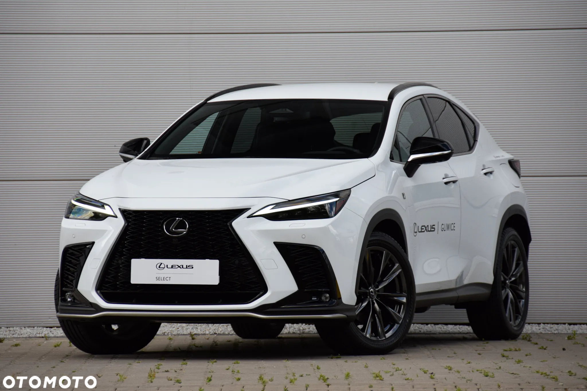 Lexus NX 450h+ F Sport AWD - 2