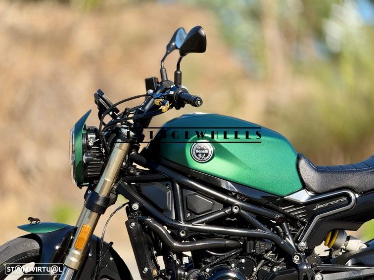 Benelli Leoncino Green Matte - 15