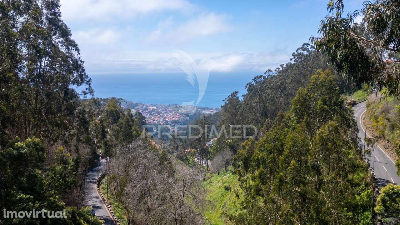 Terreno rústico numa zona verdejante com vista mar - Grande imagem: 5/13