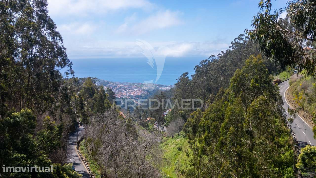 Terreno urbano numa zona verdejante  com vista mar. - Grande imagem: 5/13