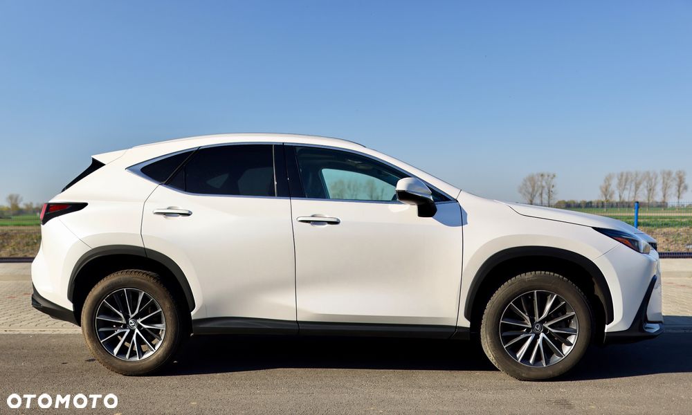 Lexus NX - 18