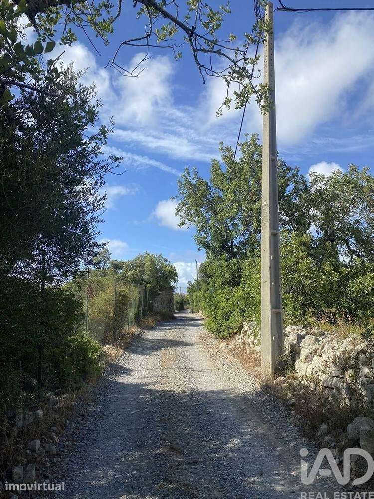 Terreno para construção em Santa Bárbara de Nexe - Grande imagem: 4/24