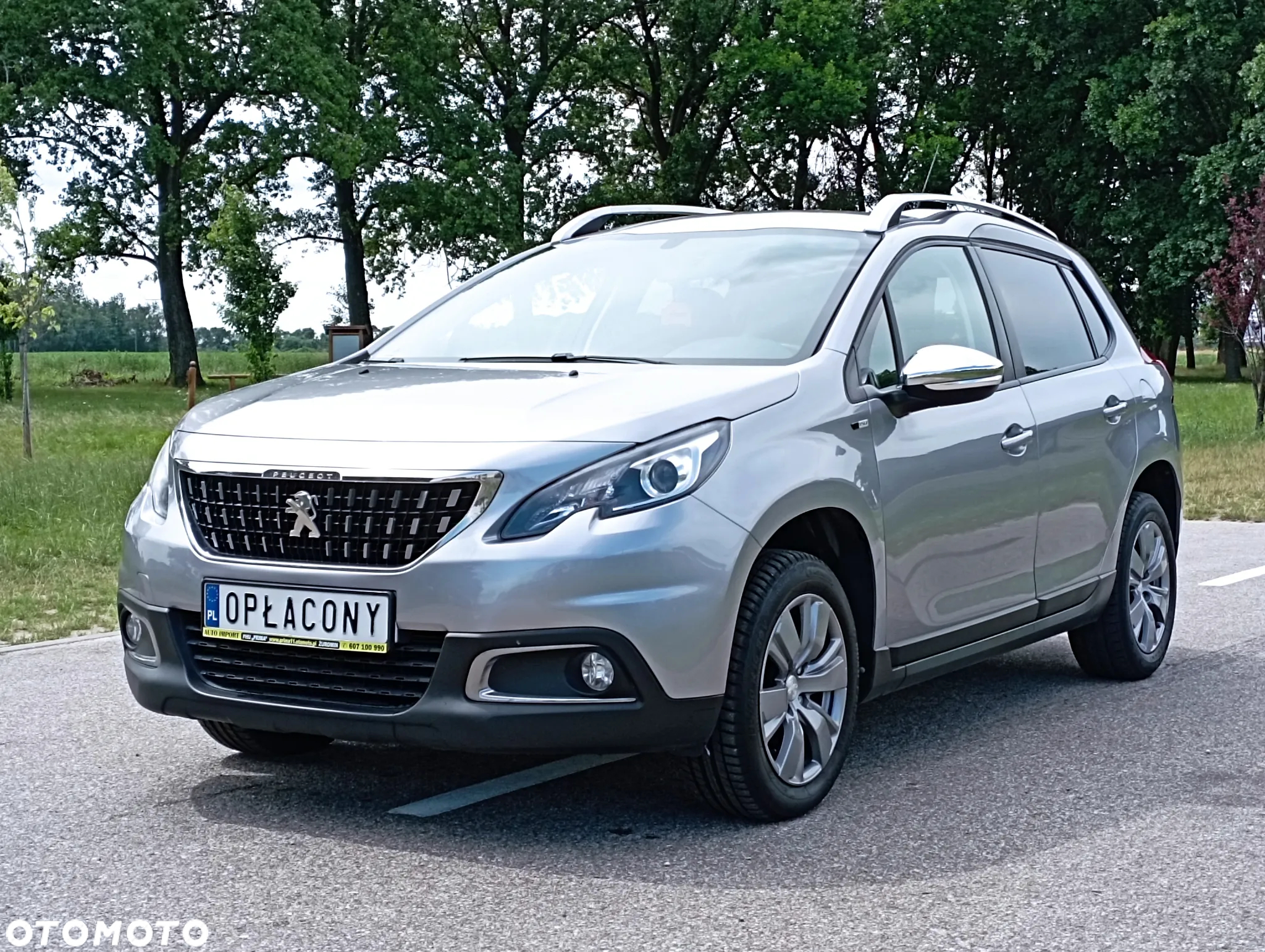 Peugeot 2008 - 5