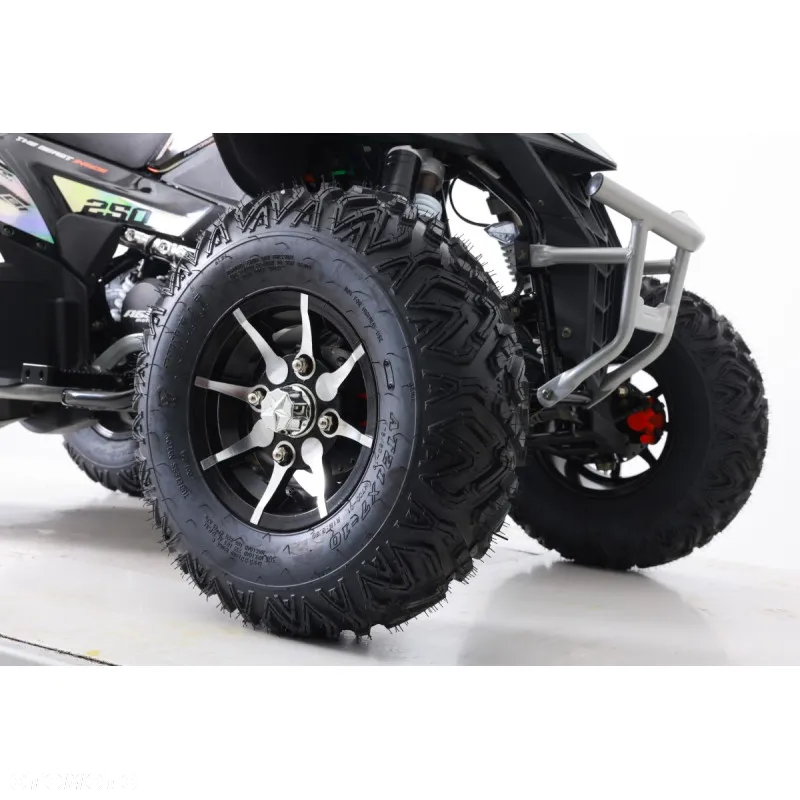 XTR Inny - 11