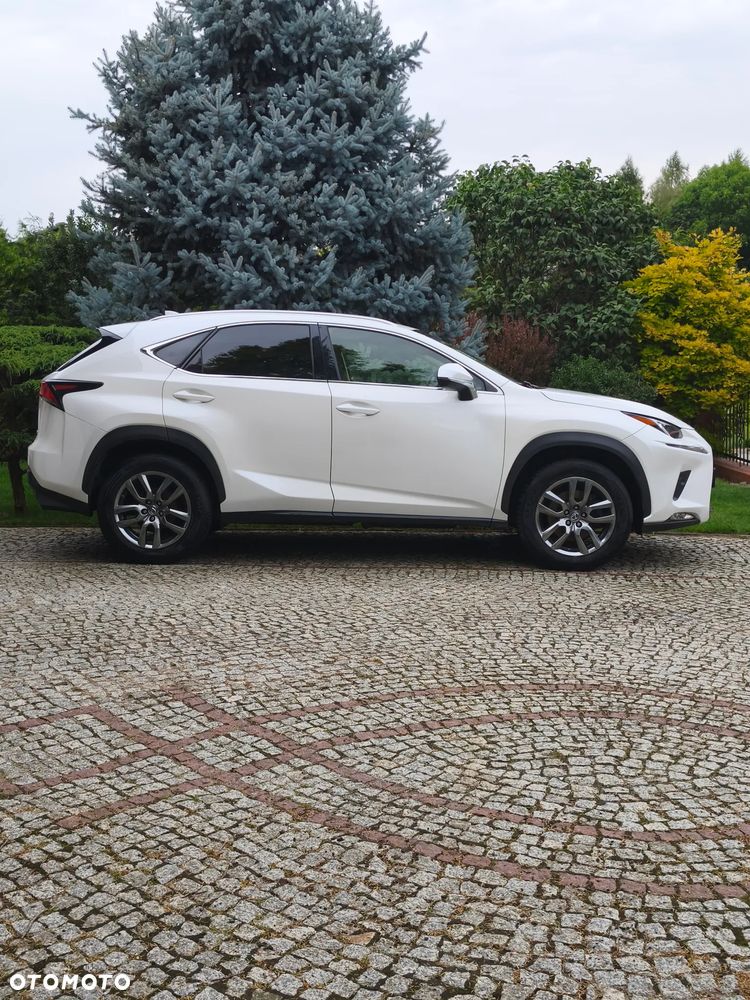 Lexus NX 300 GPF Comfort AWD - 3