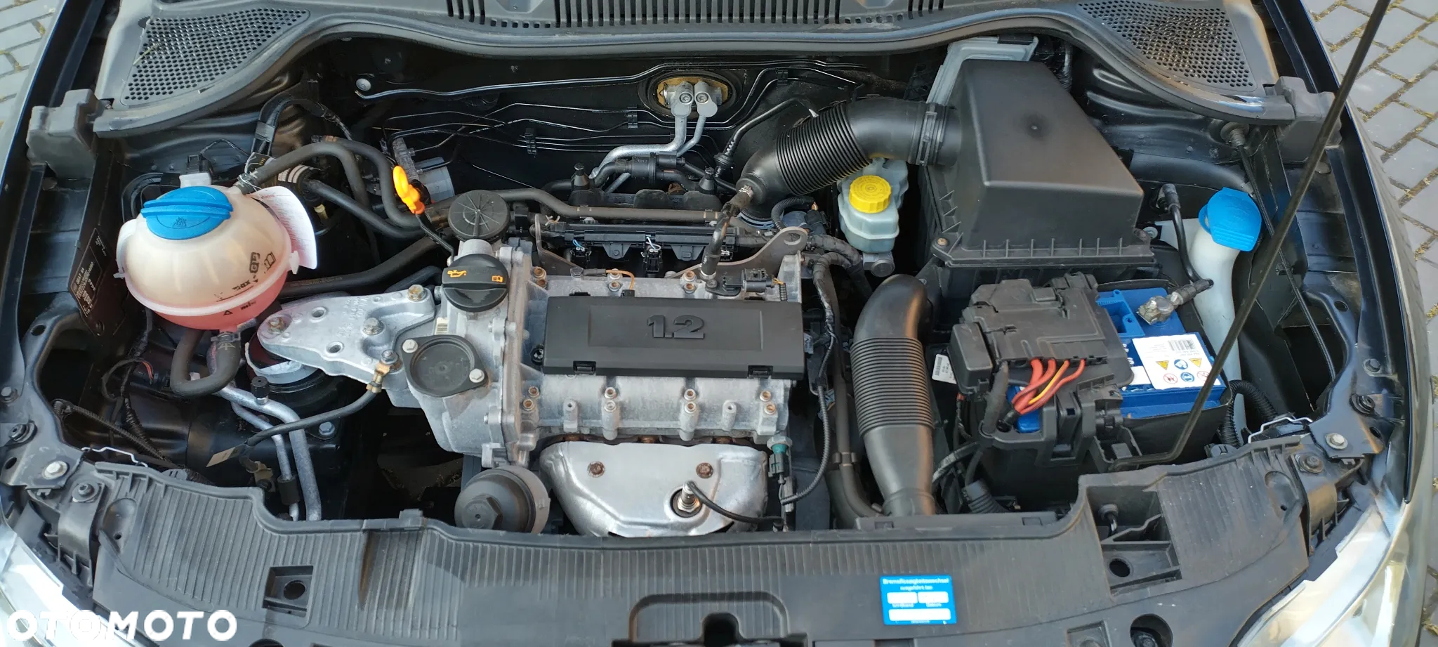 Seat Ibiza 1.2 12V Style Salsa - 31