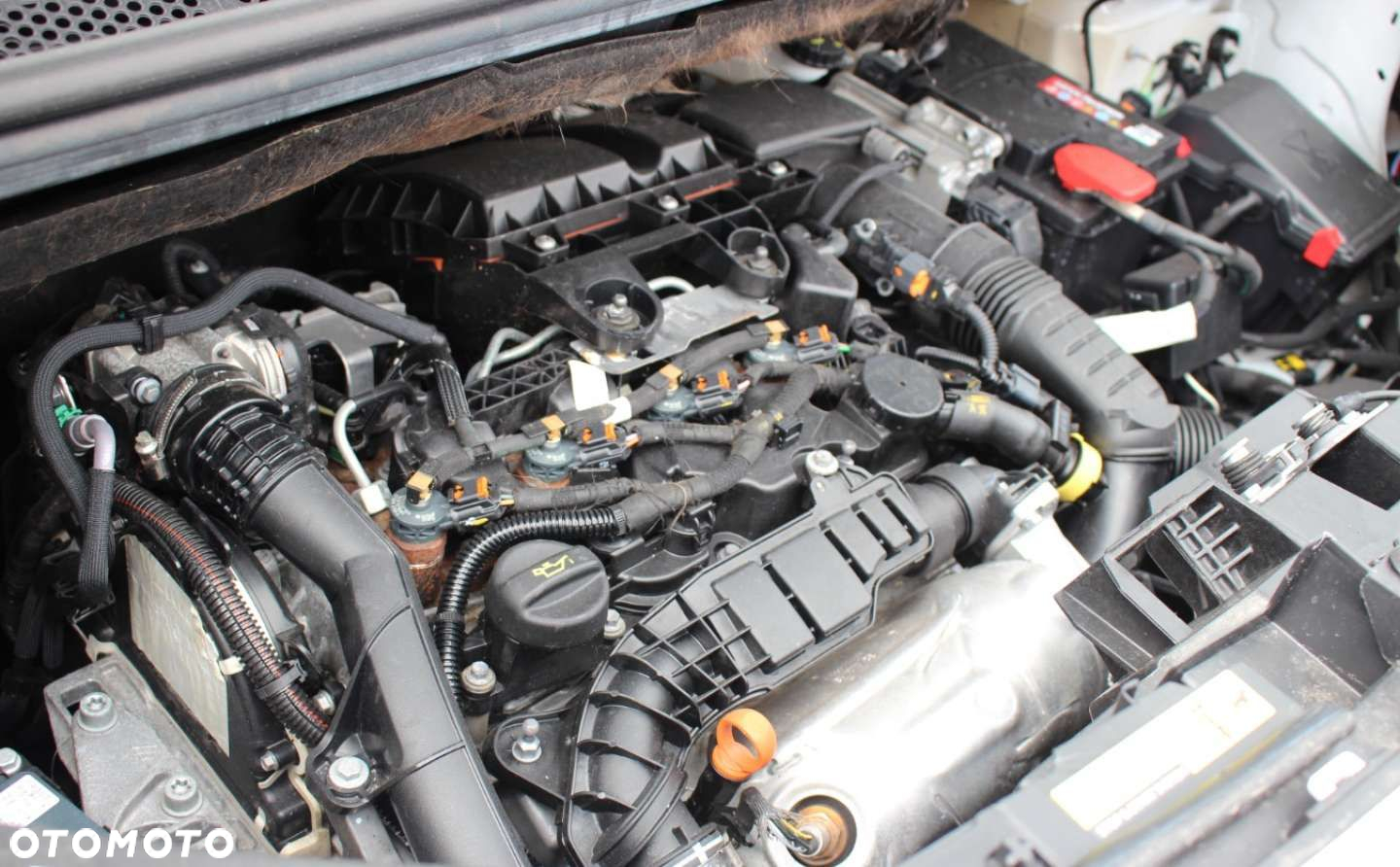 Citroën Berlingo - 17