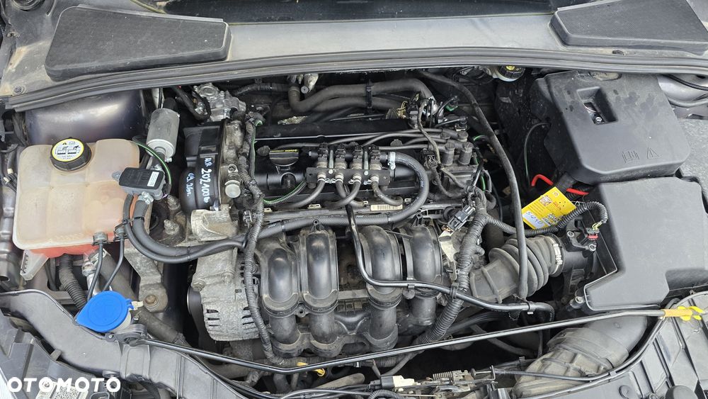 Ford Focus - 8