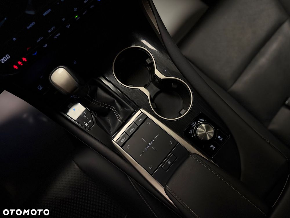 Lexus RX 300 Elegance - 15