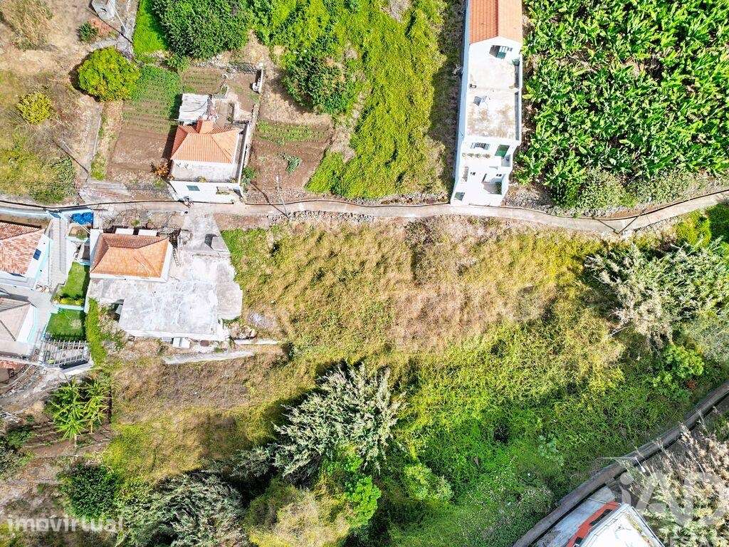 Terreno Agrícola em Ribeira Brava