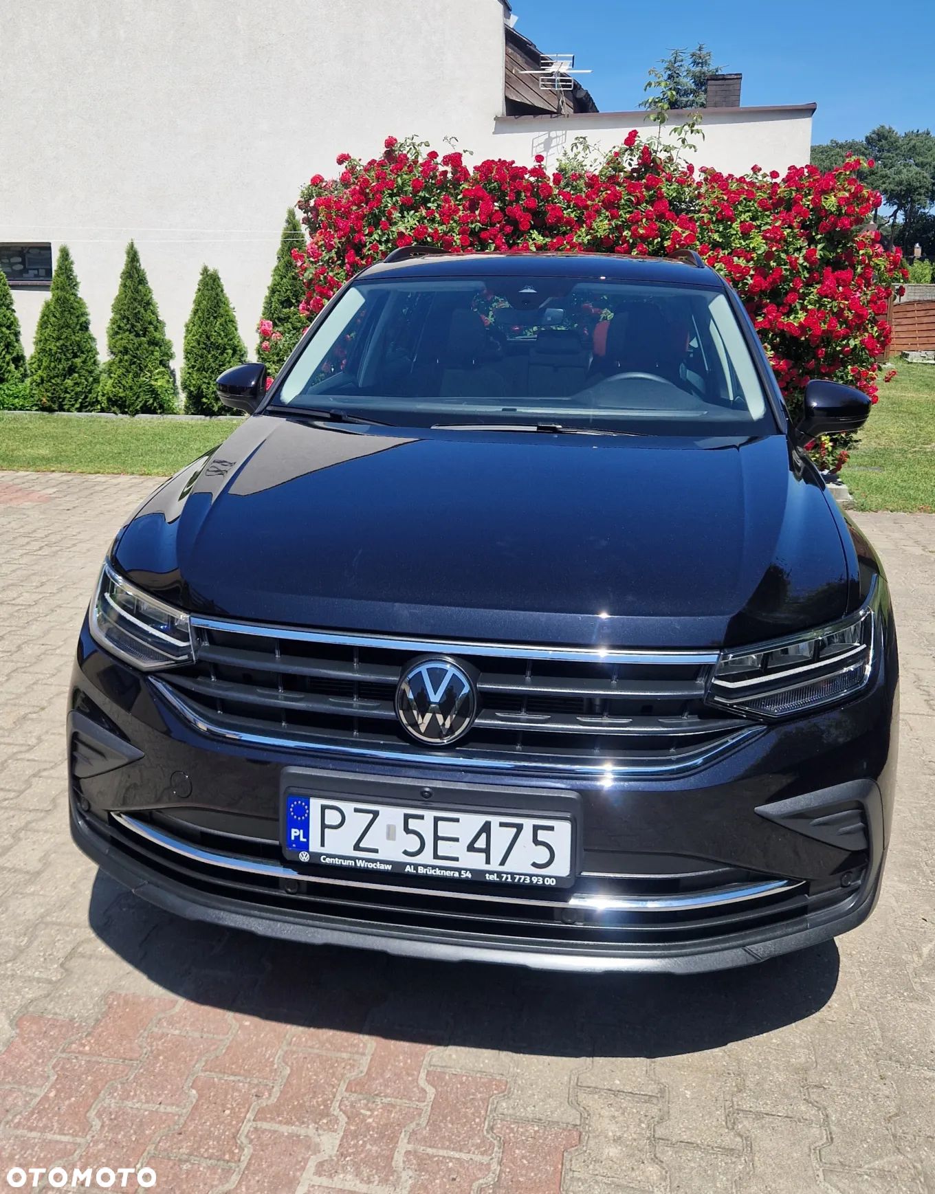 Volkswagen Tiguan 1.5 TSI EVO Life DSG - 1