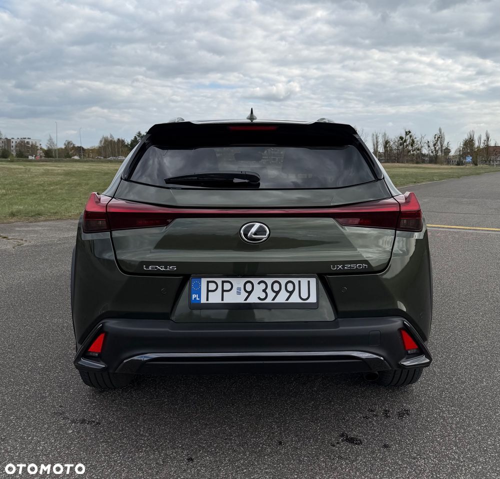 Lexus UX 250h F SPORT - 6