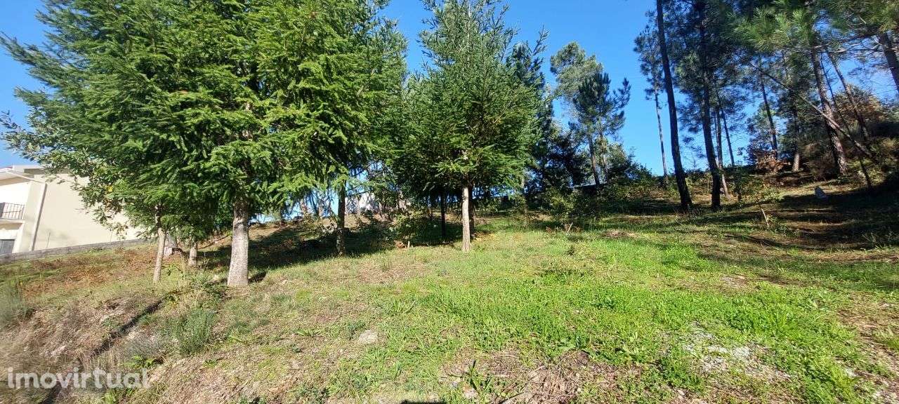 Terreno para Construção Soutulho - Viseu - Grande imagem: 3/11