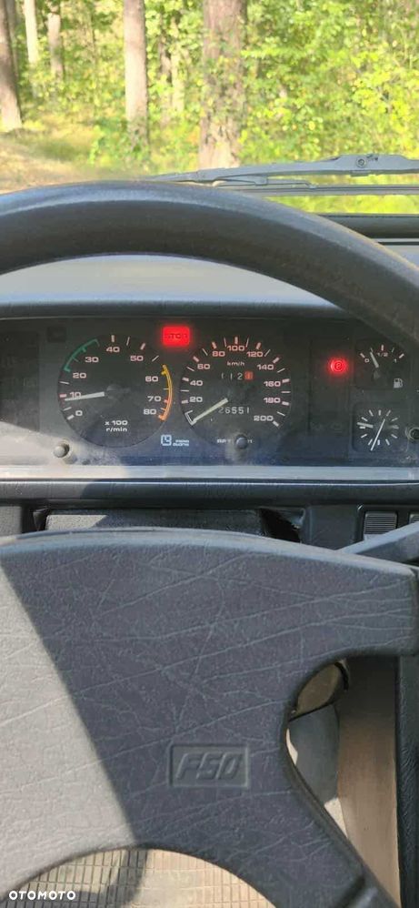 Polonez Caro - 8