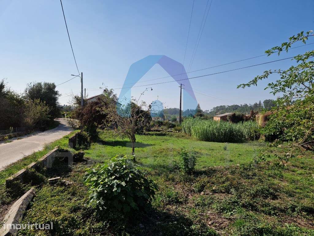 Terreno com Viabilidade de Construção - Pombal - Grande imagem: 4/10