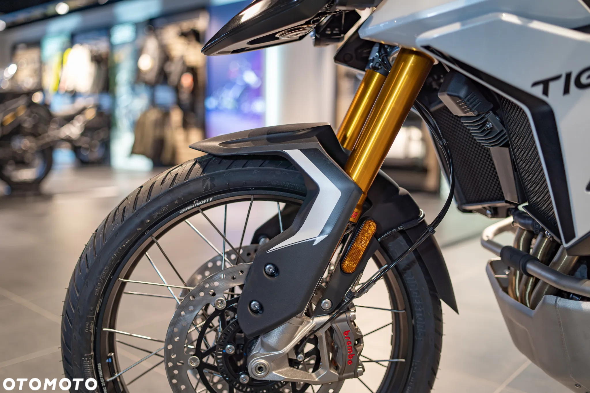 Triumph Tiger - 18