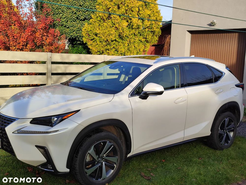 Lexus NX 300 - 2