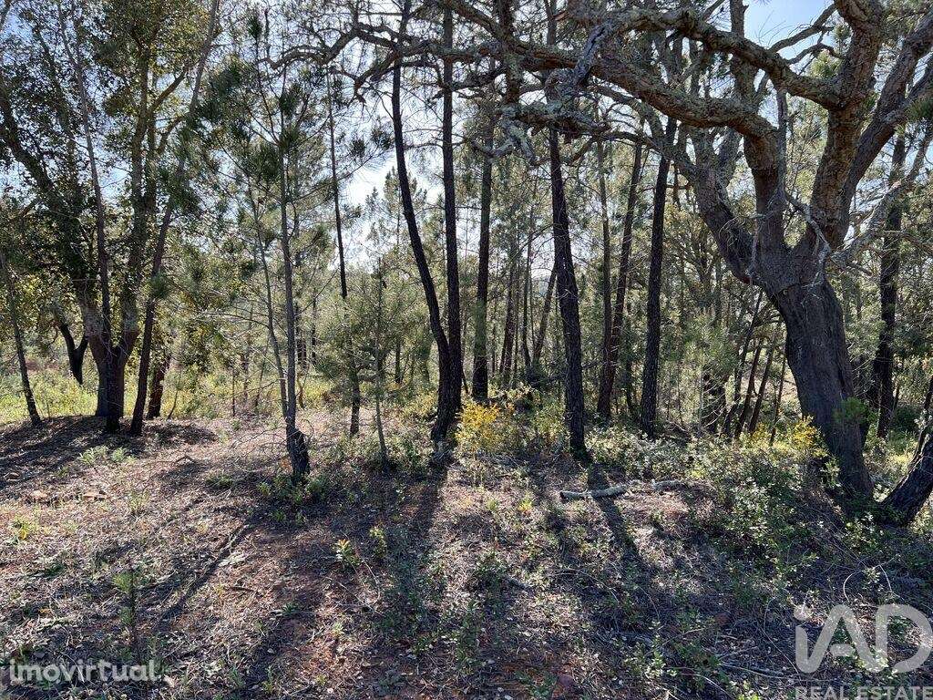 Terreno em Querença, Tôr e Benafim de 1580,00 m2 - Grande imagem: 5/9