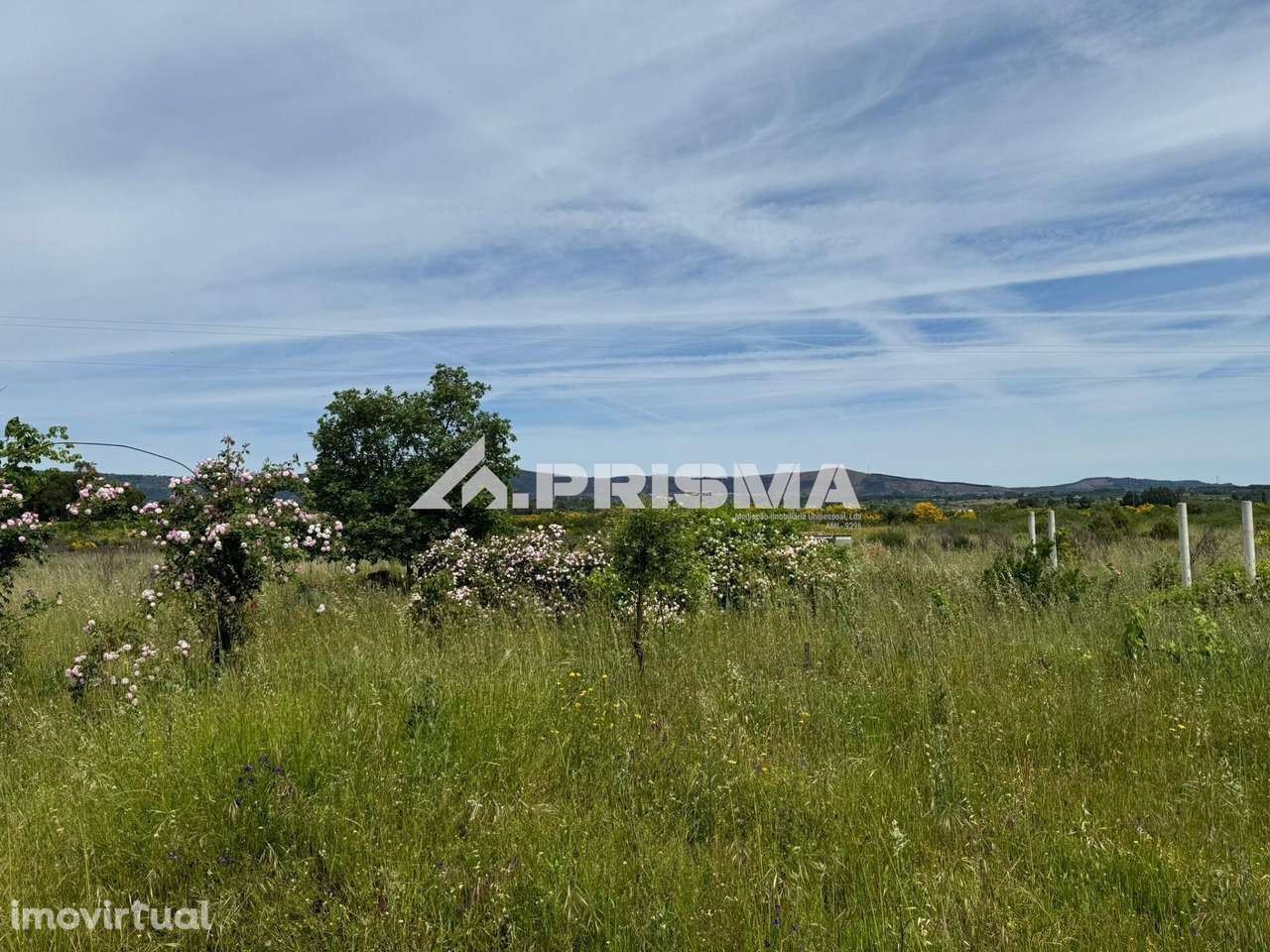 Quinta Excepcional com 9 Hectares para venda em Póvoa da Atalaia - Grande imagem: 2/5