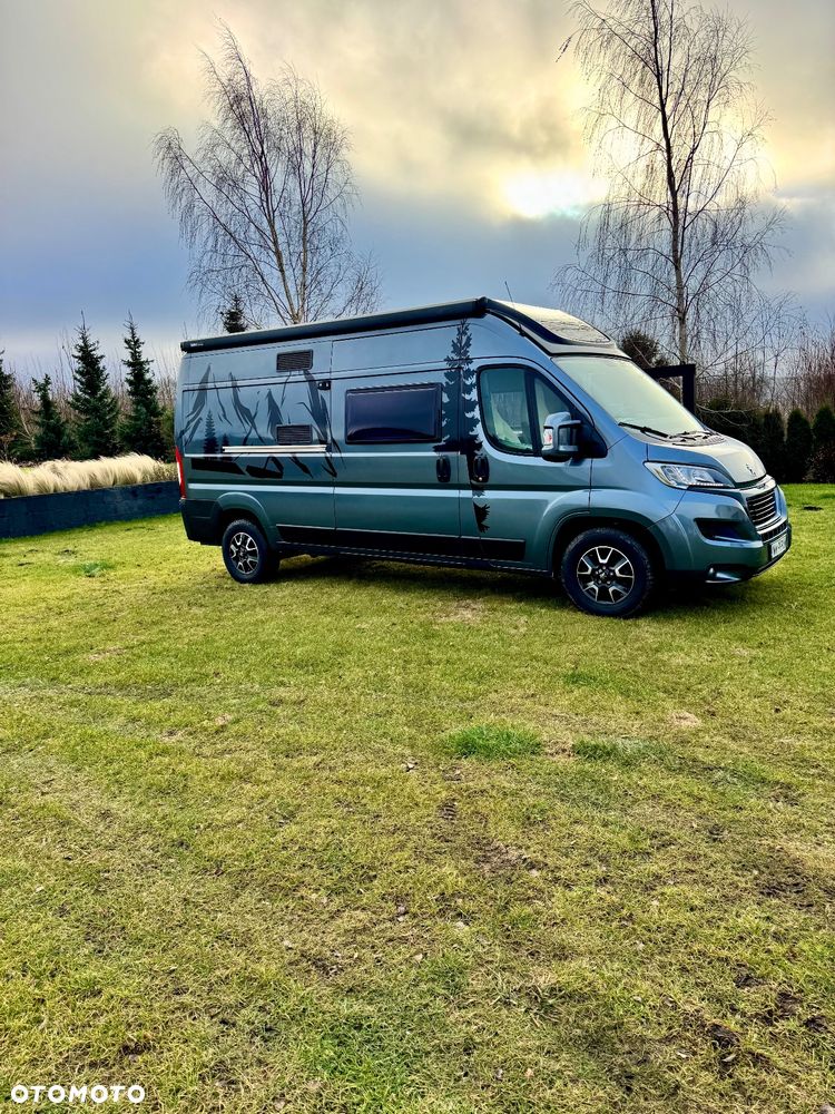 McLOUIS Prestige - 7