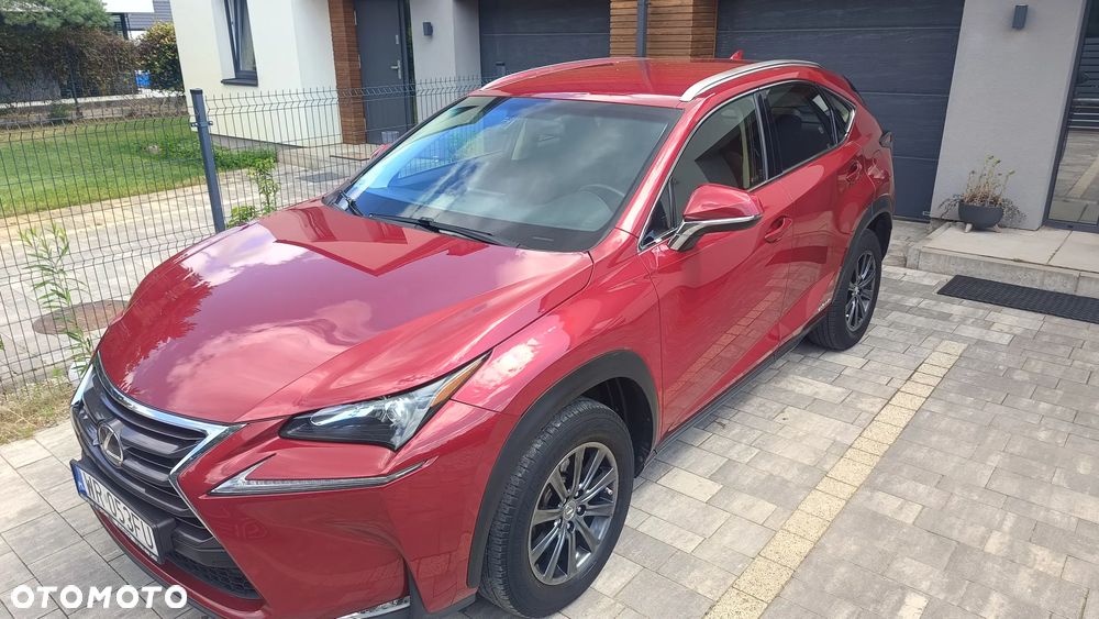 Lexus NX 300h Elite AWD - 15