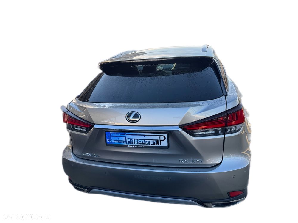 Lexus RX 300 Business Edition + - 7