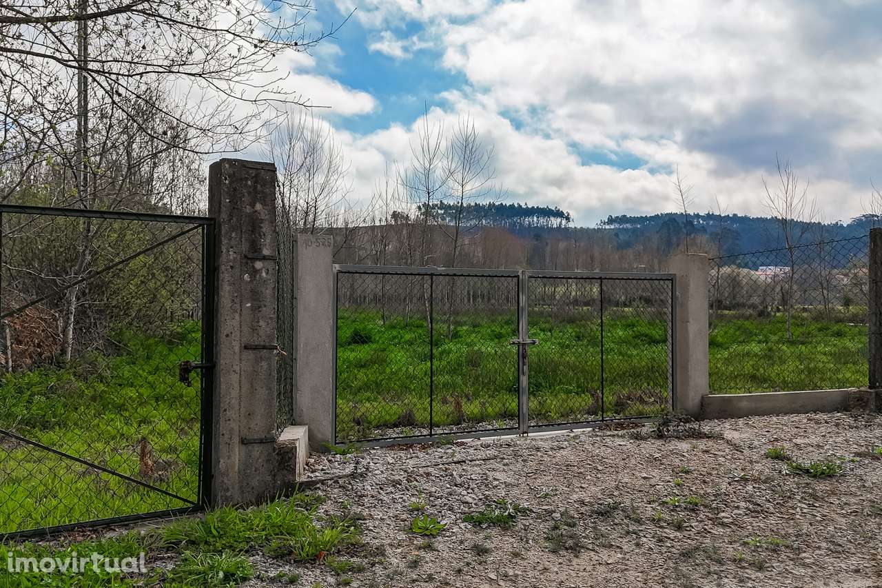 Terreno Rústico  Venda em Associação de freguesias do Vale do Neiva,Po - Grande imagem: 3/22