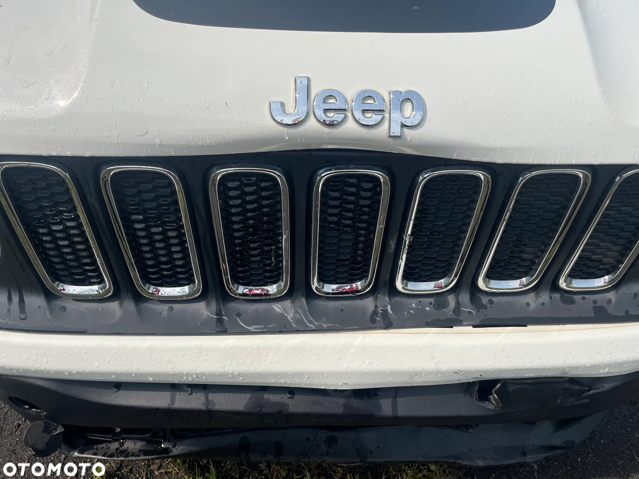 Jeep Renegade 1.6 MultiJet Longitude Adventure Edition - 14
