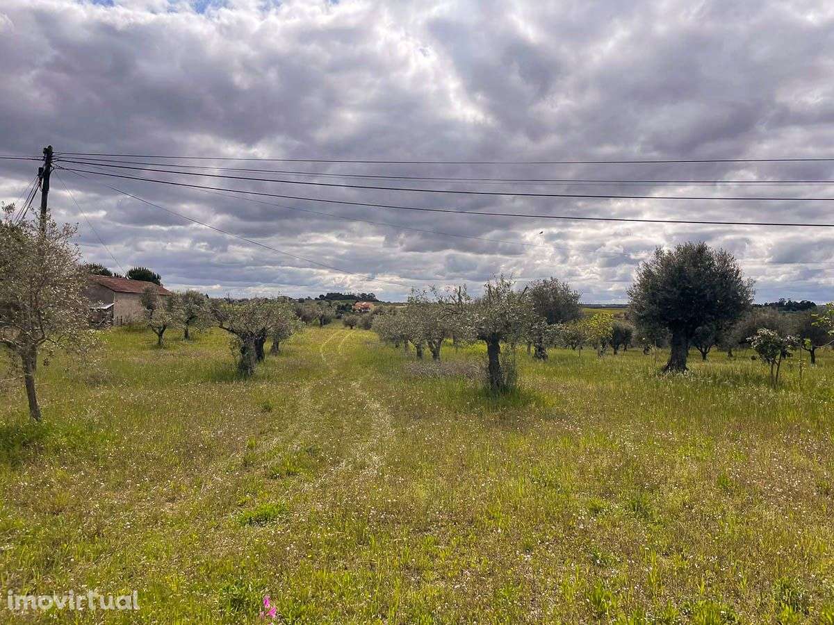 Terreno - Grande imagem: 5/5