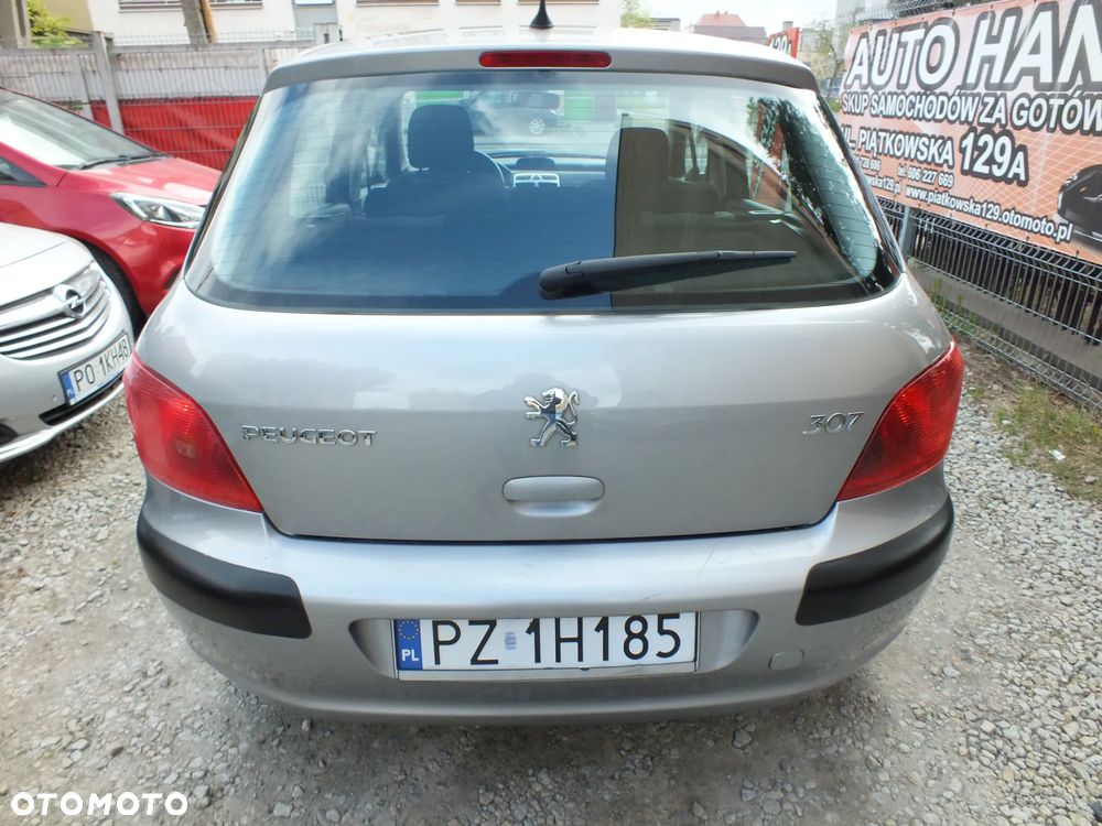 Peugeot 307 - 10