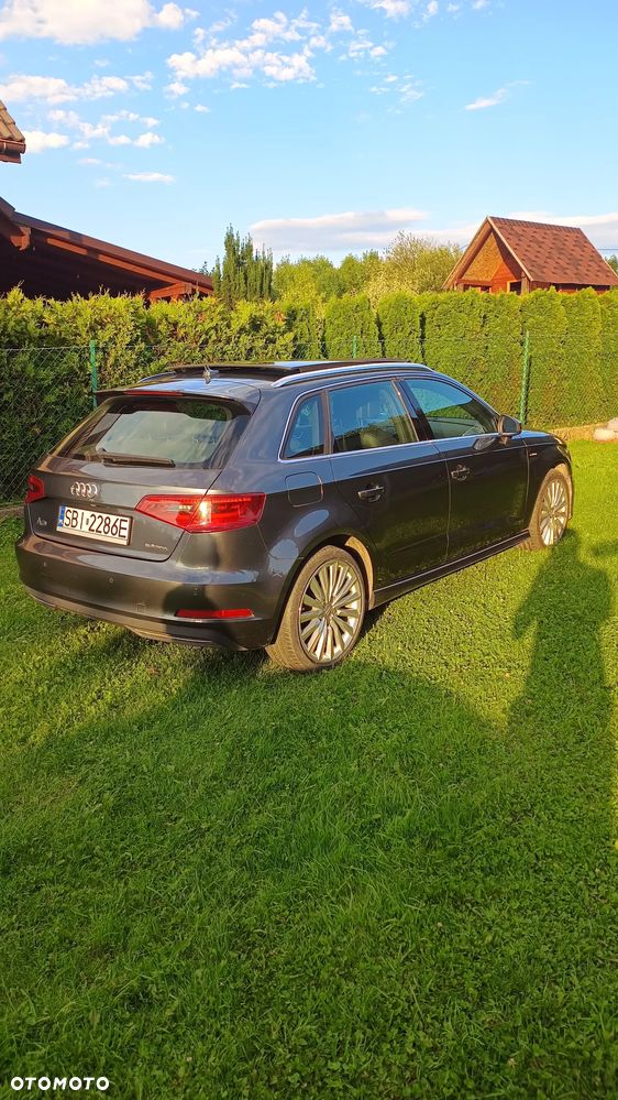 Audi A3 - 6