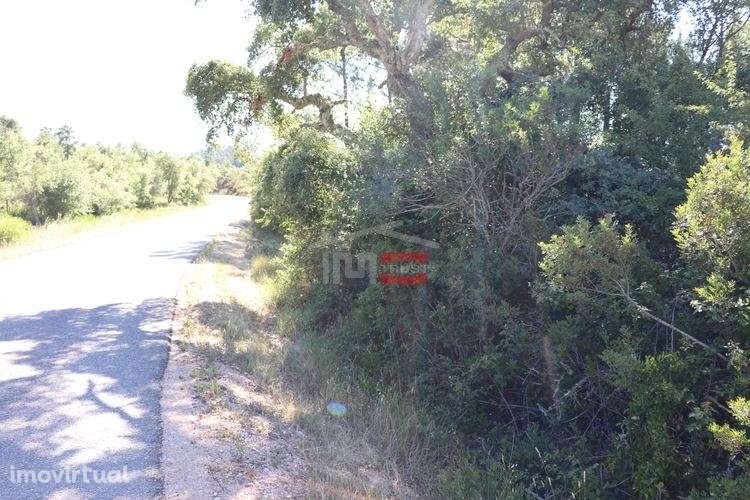 Terreno - Grande imagem: 5/6