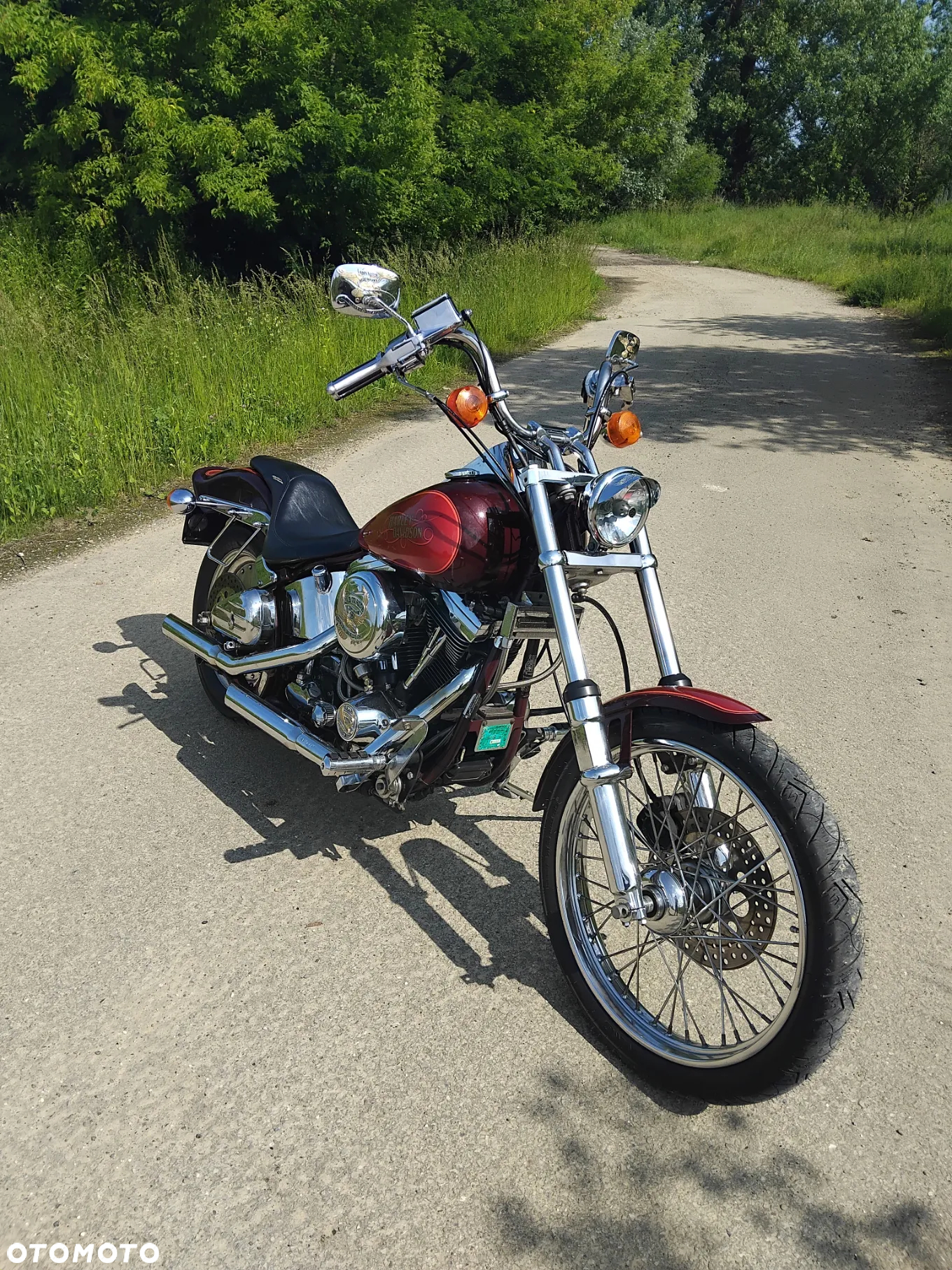 Harley-Davidson Softail - 3