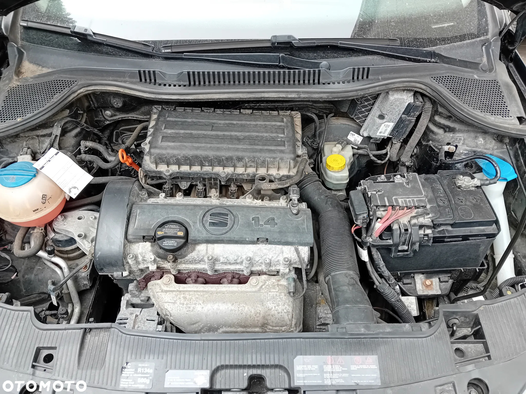 Seat Ibiza - 14