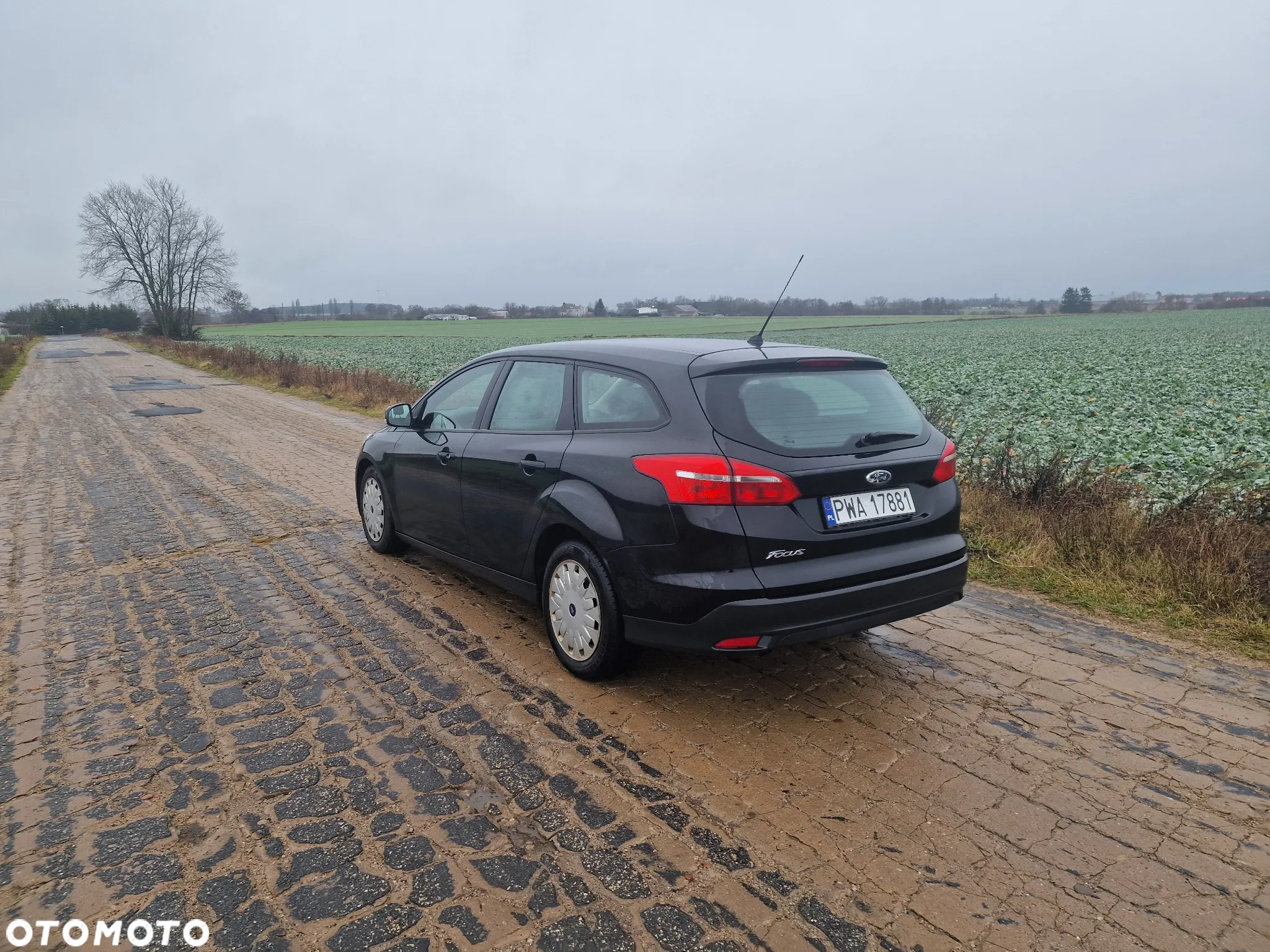 Ford Focus 1.5 TDCi Trend ECOnetic ASS - 8