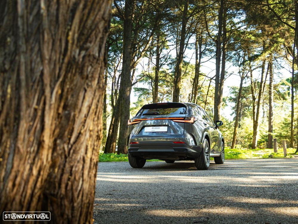 Lexus NX 350h Executive+ - 17