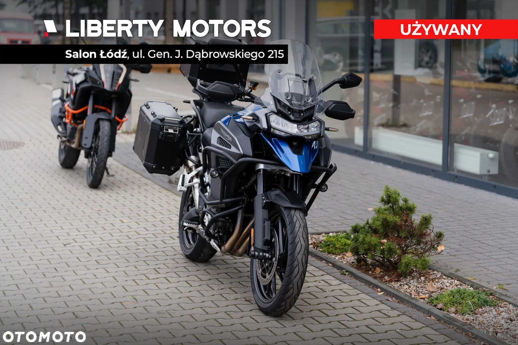 Triumph Tiger - 3