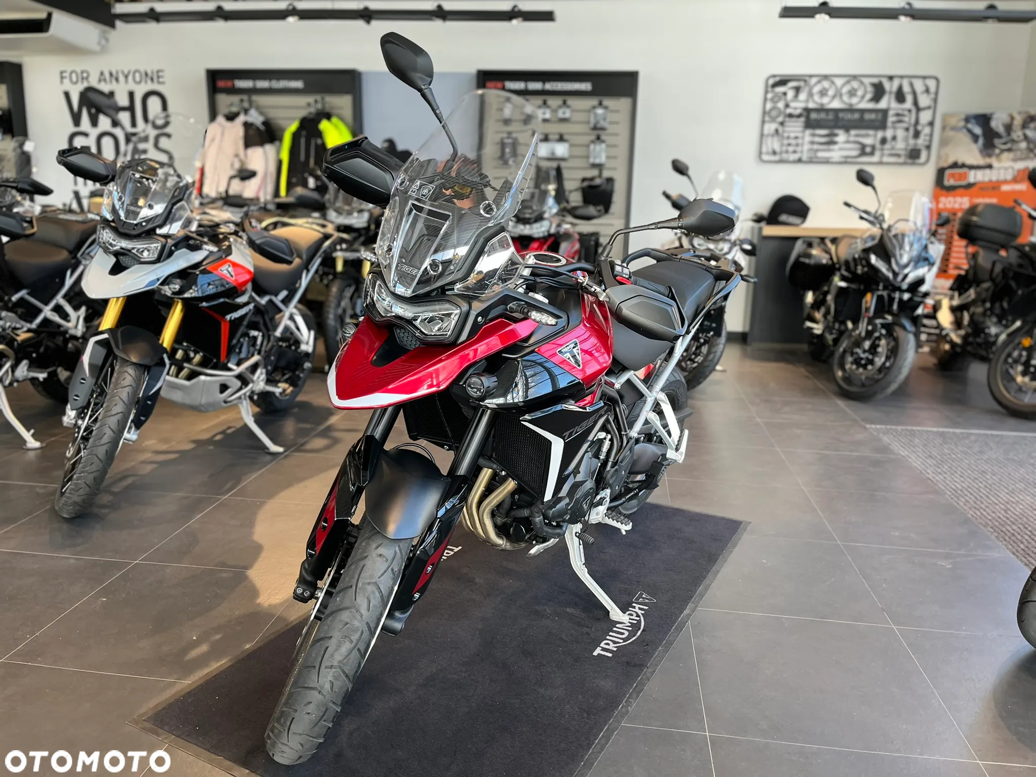 Triumph Tiger - 3