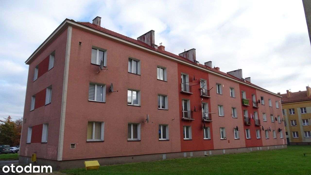 Duże trzypokojowe mieszkanie w Trzebiatowie - Jaro
